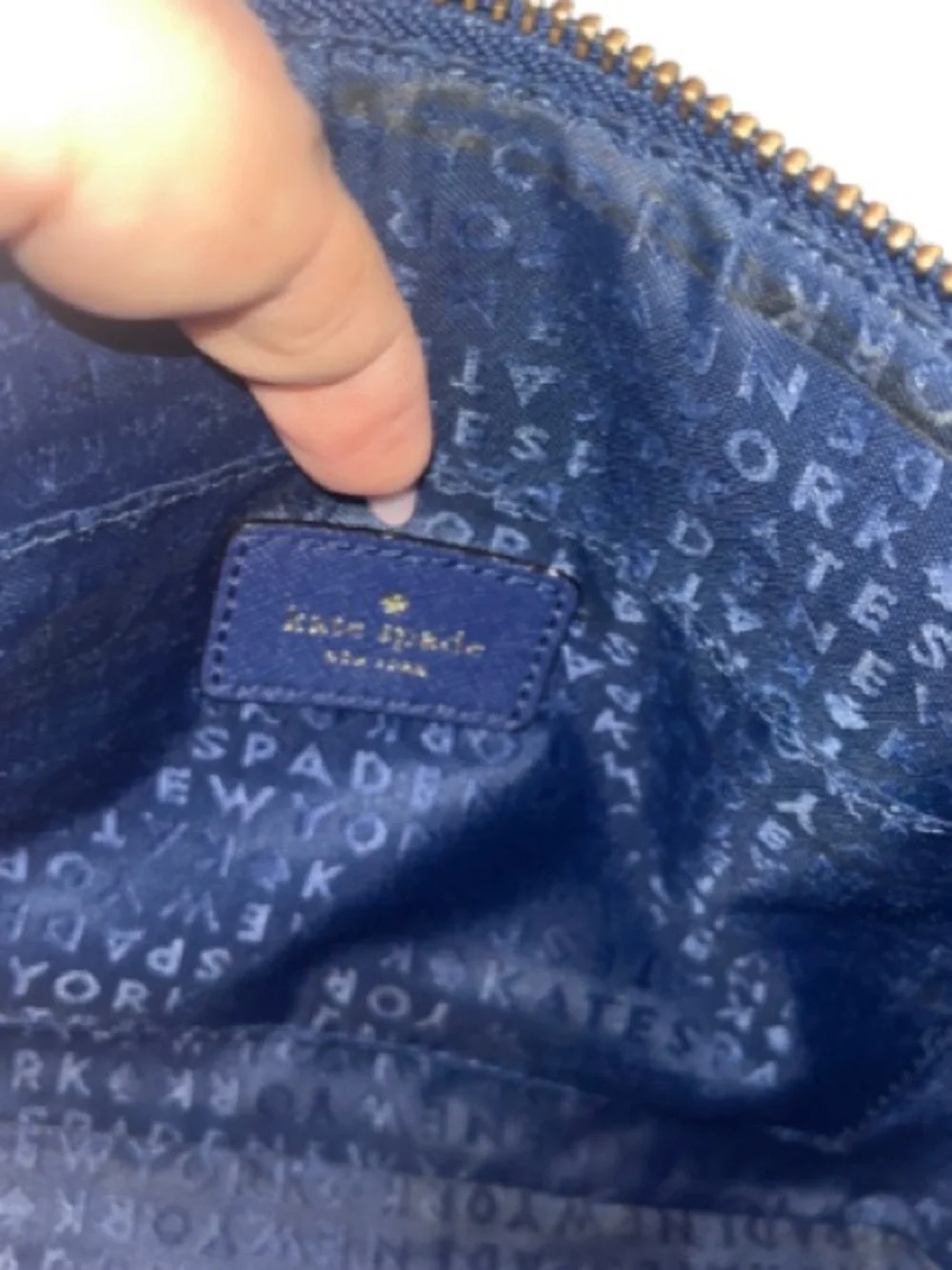RARE Kate Spade Under The Sea Millie Turtle Crossbody Bag READ